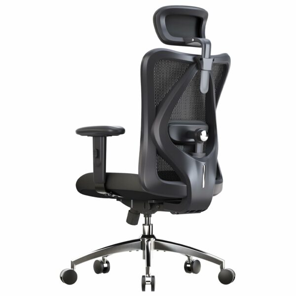 Ergonomic Office Chair with Adjustable Headrest & Lumbar Support – Pure Black