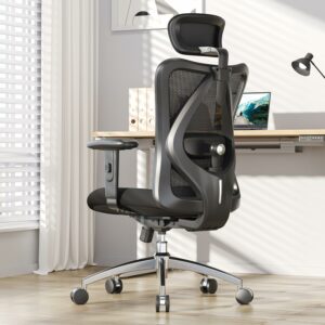 Ergonomic Office Chair with Adjustable Headrest & Lumbar Support – Pure Black