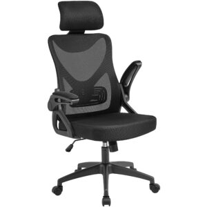 Ergonomic Office Chair with High Back, Flip-up Armrests & Lumbar Support